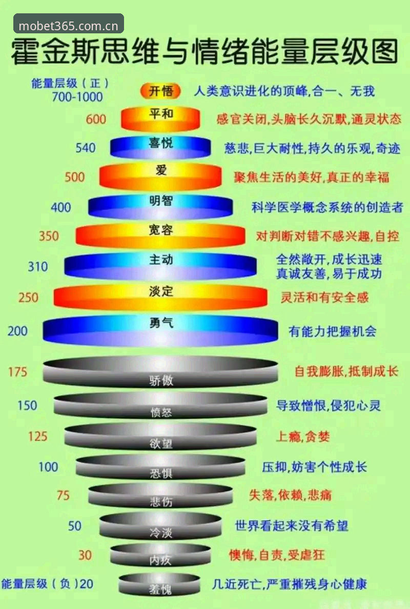 bet365体育官网对比 4大核心维度对比:bet365体育官网与其他体育投注平台的差异解析